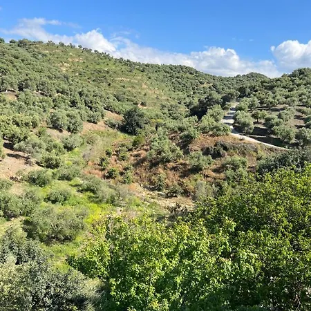 Eugene Apartmán Chania (Crete)